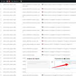 Monosnap String Translation ‹ Kamil — WordPress 2024-02-01 10-50-59.png
