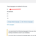 Languages-‹-Aviator-Game-—-WordPress(1).png