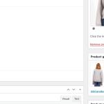 Edit-product-“GANT-FELPA-CON-ZIP-DONNA-GRIGIO”-‹-Macano-lt-—-WordPress(2).png