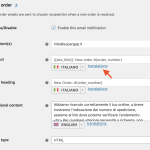 email translation panel.png