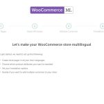 woocommerce-lang-error.JPG