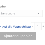 4. Button auf die Wunschliste wird nicht übersetzt.png