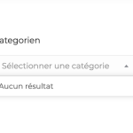 Kategorien werden nicht angezeigt.png