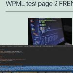 WPML test page 2 FRENCH – Sandbox 2024-02-16 08-25-30.jpg