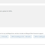 WPML.png