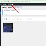 Media Library ‹ Sandbox — WordPress 2024-02-20 11-32-46.jpg