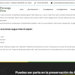 Paso2.png