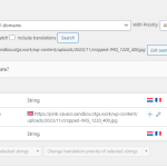 search logo URL and add translation.png