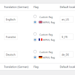 wpml-fr-issue.png