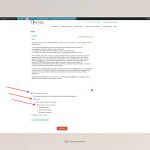 Ordner der Sprachen gehen nicht mehr im - WPML.jpeg