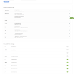 .es-DNS-Settings.png