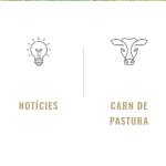 icones.png