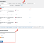 wpml-string-translation-translate-everything-automatically.png