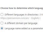 WPML_languageURLformat_taxonomy_error_2024-02-29 164233.jpg