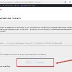WPML Problem.png