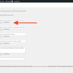 Screen capture translation button.jpeg