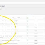 wpml_dbqueries.png