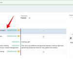 Advanced Translation Editor - WPML 2024-03-07 09-20-07.png