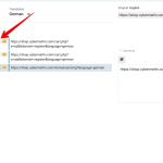 Advanced Translation Editor - WPML 2024-03-11 09-42-43.png