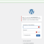 Log In ‹ Nordic Temptations — WordPress 2024-03-19 09-20-07.png
