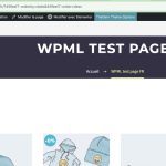 WPML test page FR – Sandbox 2024-03-19 10-24-41.jpg
