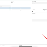 Advanced Translation Editor - WPML 2024-03-20 09-48-14.png