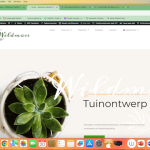Wildmoss menu EN.png