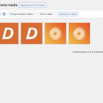 Screenshot 2024-03-23 alle 09.47.17.png