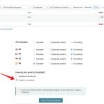 Translation Management ‹ pack&net — WordPress 2024-03-25 14-07-05.png