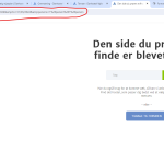 Skærmbillede 2024-03-25 123242.png
