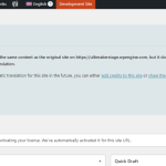 wpml-site-sync-step3.png