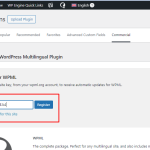 wpml-site-sync-step7.png