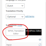 set-WPML-editor.png