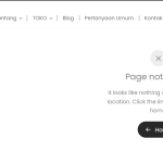 page not found.png
