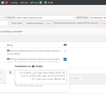 Geolocation Pop Up String has been located and translated using String Translation.png
