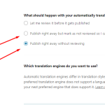 publish option 1.png