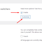 Customize language switcher.png