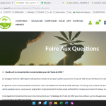 Capture d’écran (52).png