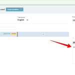 Advanced Translation Editor - WPML 2024-05-10 15-09-13.png