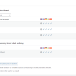 WooCommerce-Multilingual-Multicurrency-‹-Partner-Portal-—-WordPress.png