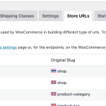 WooCommerce_Multilingual___Multicurrency_‹_TVI_อุตสาหกรรมทวีวงษ์_—_WordPress.png