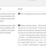 string translation saved.png