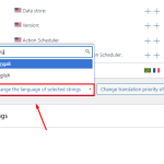 assign the correct source language.png