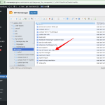 WP File Manager ‹ Μικροανάλυση — WordPress 2024-05-29 08-53-59.png