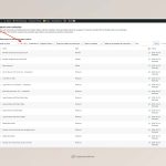 Administraci_n de traducci_n _ Red Gorilla _ WordPress.jpeg