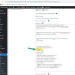 ls-code-additional-css.jpg