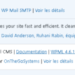 Capture d'écran 2024-06-05 164514.png