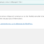 Capture d'écran 2024-06-05 164717.png