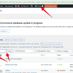 Products ‹ WPML — WordPress 2024-06-10 09-44-10.png