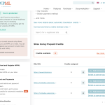 01 - Account Profile - WPML - wpml.org.png